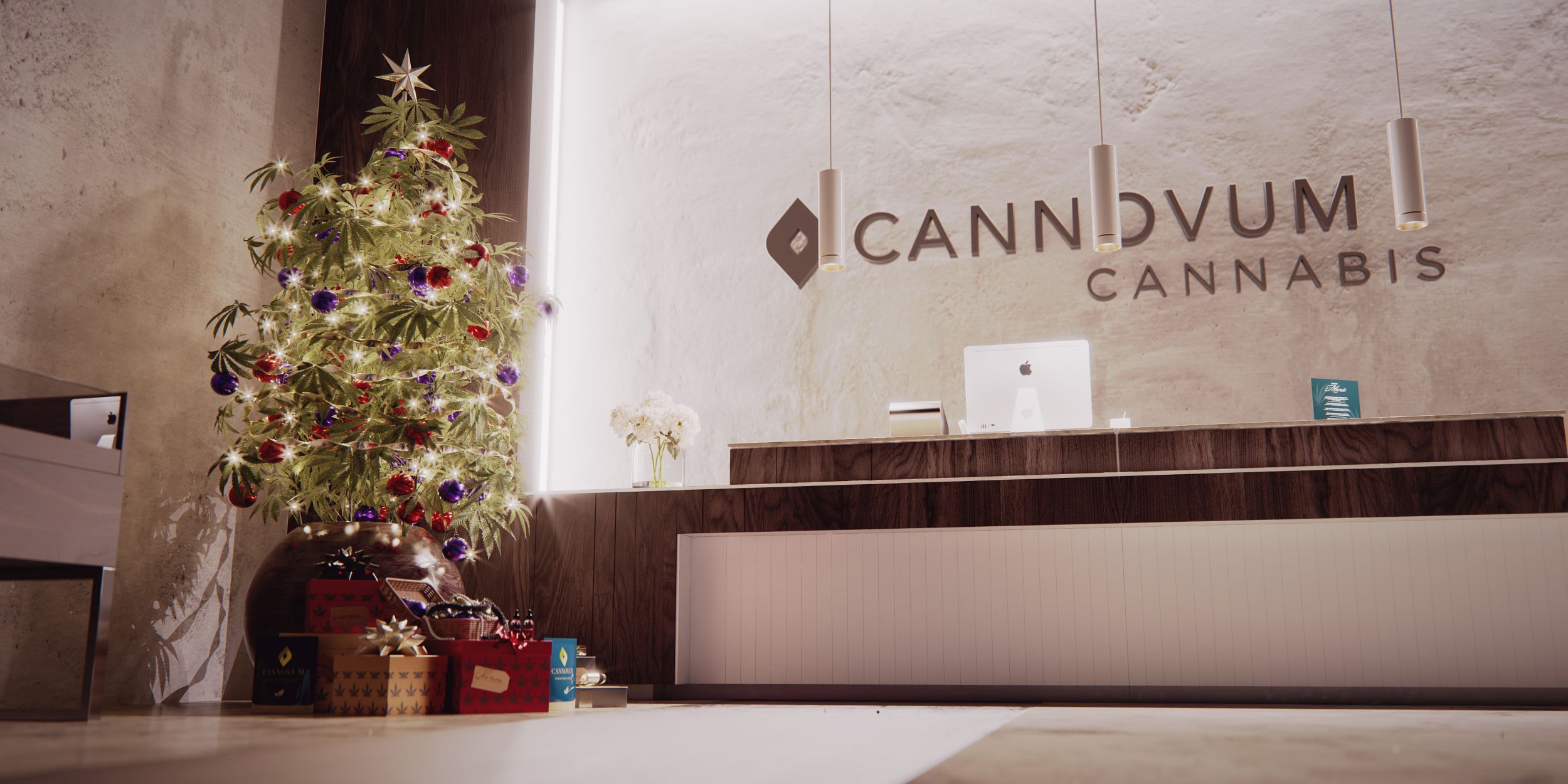 3D-Visualisierung des Cannovum CBD-Shops an Weihnachten 02